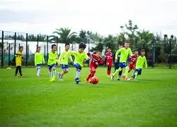 全球十大巨,星榜单,无出其右者,开云体育,开云体育官网,开云体育app,开云体育平台,KAIYUN,SPORTS,kaiyun登录入口