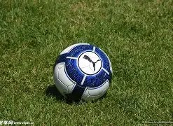 开云体育,在线,资讯,开云体育,开云体育官网,开云体育app,开云体育平台,KAIYUN,SPORTS,kaiyun登录入口