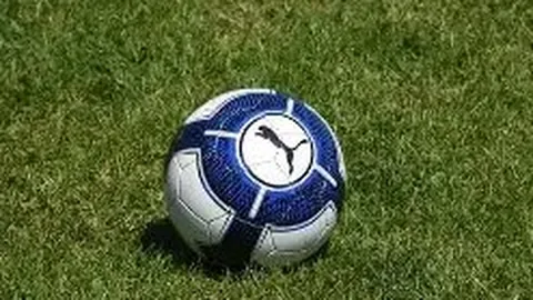 开云体育app在线 资讯 083837 0cs