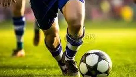 开云体育app在线 资讯 084003 pvj