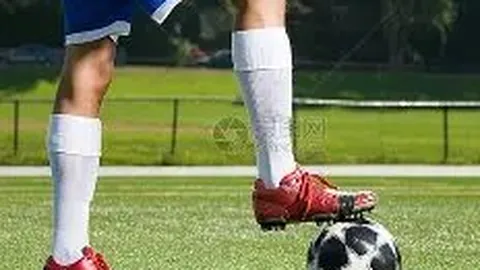 独家揭秘：河南足球队1月13日集结备战，昆明冬训迎来新鲜血液！