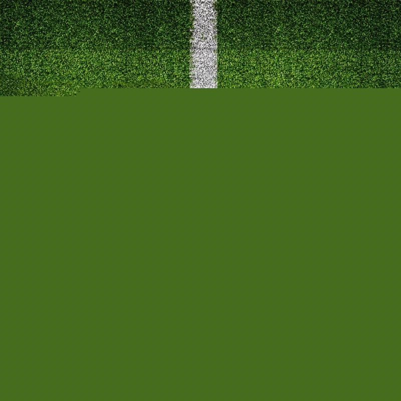 展示